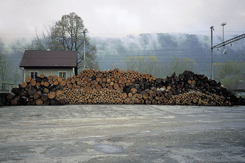 Holzstapel, 2002